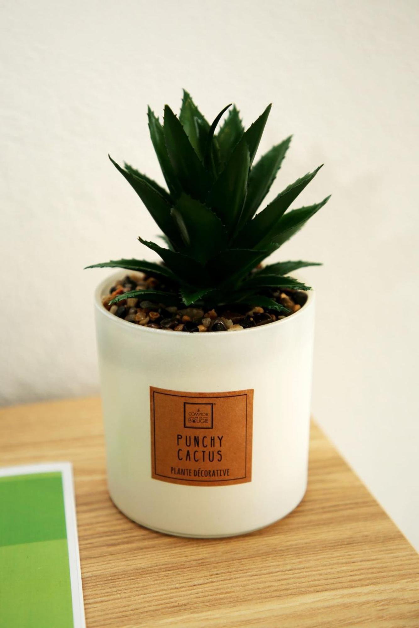 Apartamento Mae De Deus 蓬塔德尔加达 外观 照片